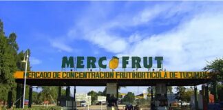 mercofrut