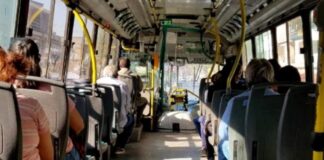 colectivo
