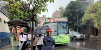 colectivos