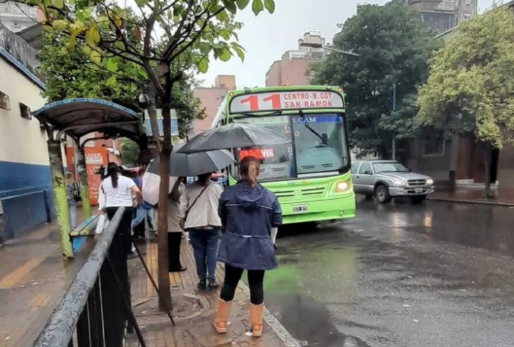 648a0c36-ce20-44d0-82a2-bc0e38373198 colectivos