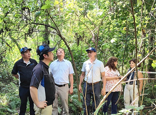 Los empresarios japoneses