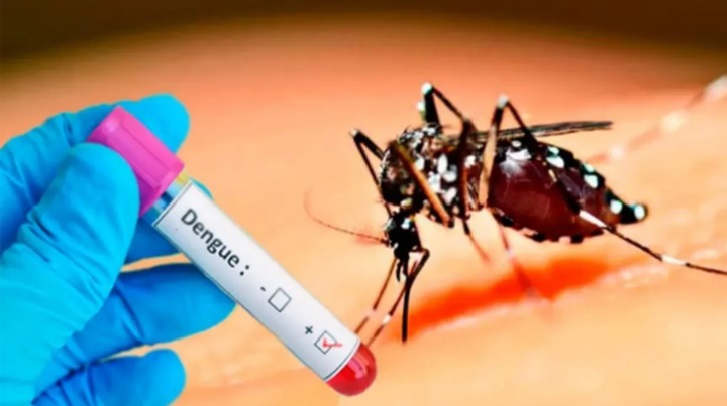 WhatsApp-Image-2024-03-07-at-11.02.55 dengue