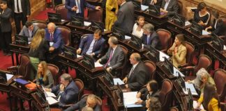 senado
