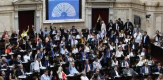 diputados