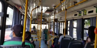 colectivos