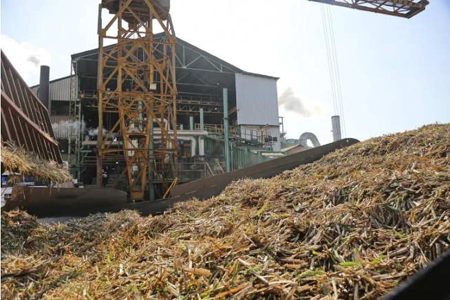 066de4ce-43a2-4478-aed4-08a10ac28eae zafra