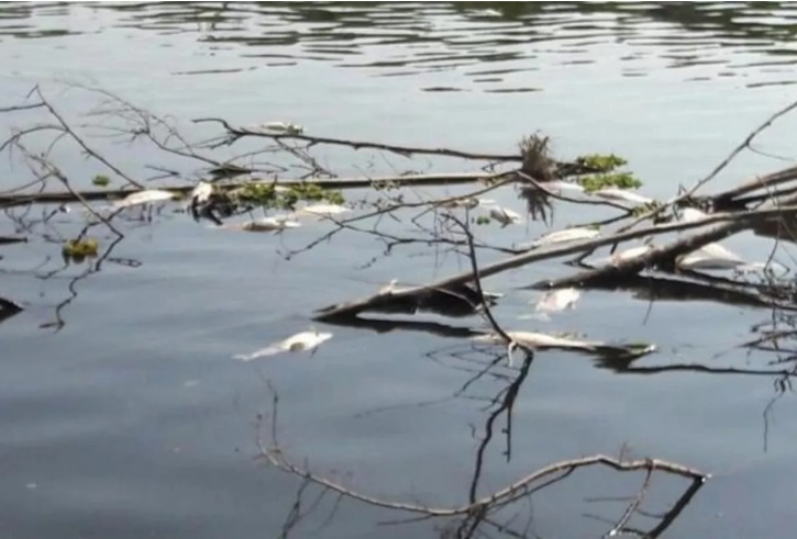 2e6309c2-e94a-427d-94a6-20a93236d82e contaminacion