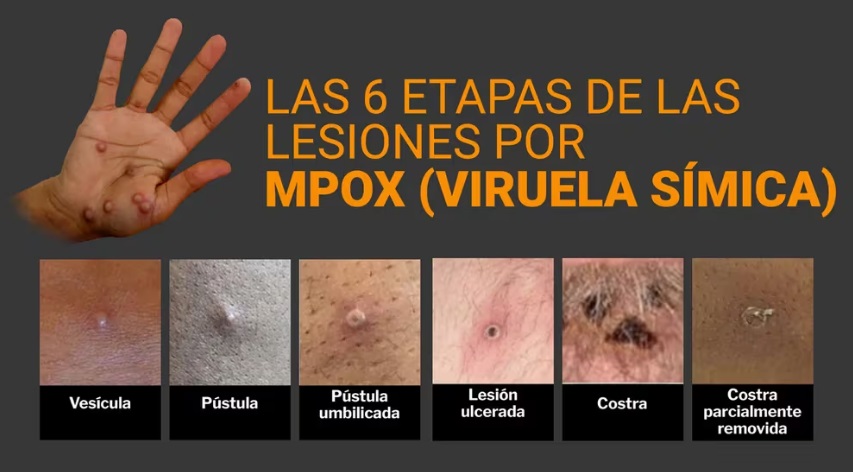 2e6309c2-e94a-427d-94a6-20a93236d82e mono