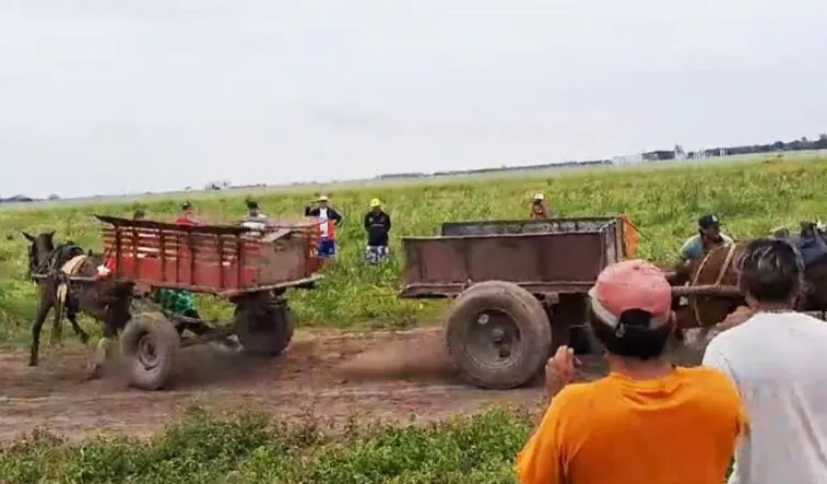 e9788304-c0fd-400a-b1a3-76ee359c1bf0 chiguada