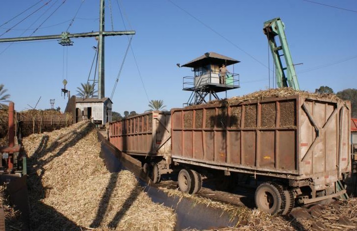 b43d8ae7-db22-4ddd-9064-abc17bf98198 zafra