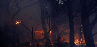 incendios