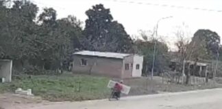 robo