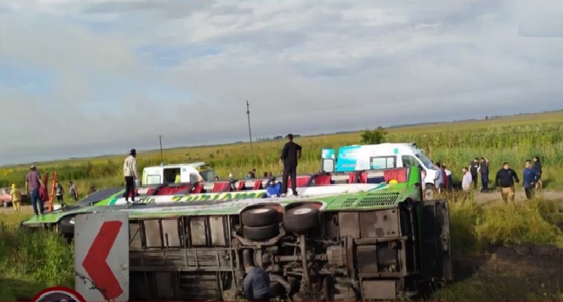 6692ebf5-7056-4eec-be15-5a90c0bdbd32 colectivo