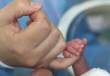 El gobierno de Javier Milei creó el Programa Federal de Primera Infancia bebe