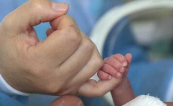 El gobierno de Javier Milei creó el Programa Federal de Primera Infancia bebe