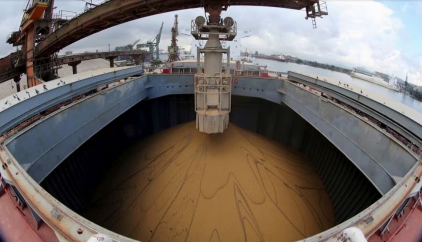 6692ebf5-7056-4eec-be15-5a90c0bdbd32 soja