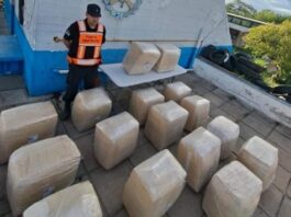 Secuestran 370 kilos de hoja de coca durante el Operativo Lapacho