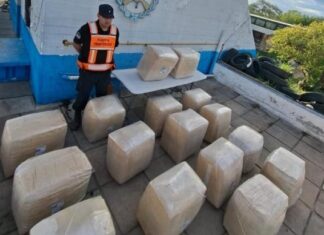 Secuestran 370 kilos de hoja de coca durante el Operativo Lapacho