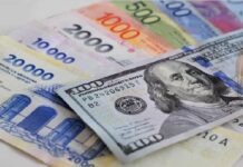 A cuánto llegarán el dólar y la inflación en Argentina este 2026 dolar