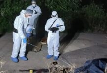 Las hipótesis sobre el sanguinario crimen que sacude a Aguilares crimen