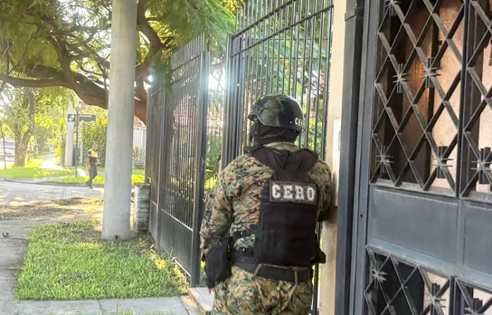 6692ebf5-7056-4eec-be15-5a90c0bdbd32 pelea