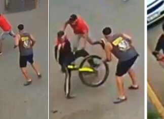 Atrapan a un ladrón en bicicleta que le arrebató el celular a una mujer robo