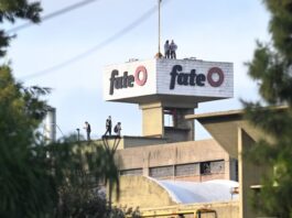 Fate anunció su cierre definitivo: despedirá a sus 920 empleados fate