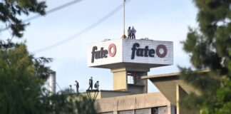 Fate anunció su cierre definitivo: despedirá a sus 920 empleados fate