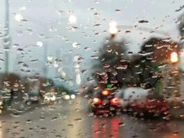 Las lluvias de la madrugada provacaron caída de árboles y el tendido eléctrico