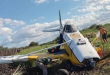 Piloto tucumano debió realizar un aterrizaje forzoso y estrelló su avioneta avion