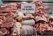 carne