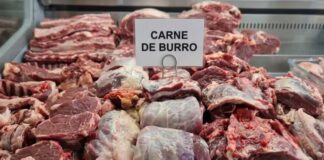 carne