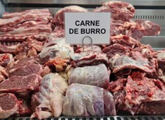 carne