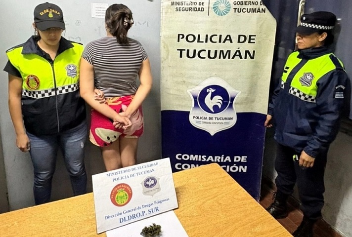 6692ebf5-7056-4eec-be15-5a90c0bdbd32 detenido