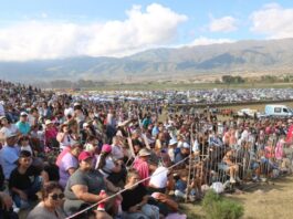 Buen movimiento turístico durante el fin de semana largo en todo el país tafi