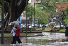 “Hasta la primera quincena de junio vamos a tener lluvias arriba de lo normal” lluvias