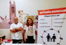 Zoonosis recordó que la rabia en perro y gatos “es una enfermedad mortal” zoonosis