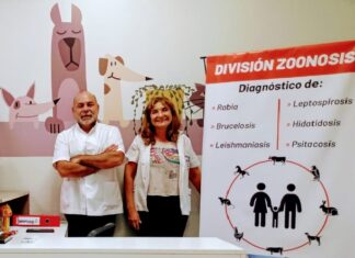 Zoonosis recordó que la rabia en perro y gatos “es una enfermedad mortal” zoonosis