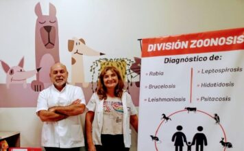 Zoonosis recordó que la rabia en perro y gatos “es una enfermedad mortal” zoonosis