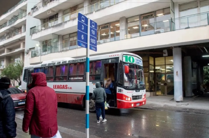 6692ebf5-7056-4eec-be15-5a90c0bdbd32 colectivos