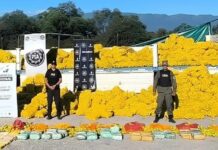 Métodos de los cárteles mexicanos con droga oculta en cargas de limones en Tucumán droga