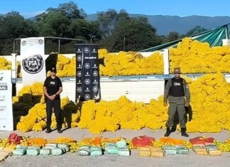 Métodos de los cárteles mexicanos con droga oculta en cargas de limones en Tucumán droga