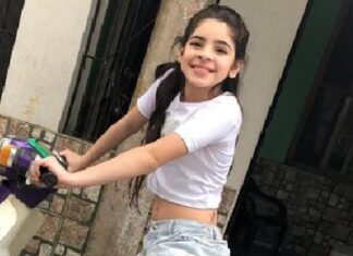 Murió Nayla, la niña que permanecía internada tras un trágico accidente de tránsito choque