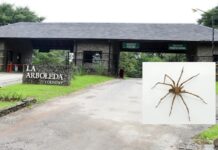 Murió una mujer tras una presunta picadura de araña en el country La Arboleda country
