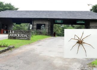 Murió una mujer tras una presunta picadura de araña en el country La Arboleda country