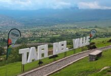 tafi