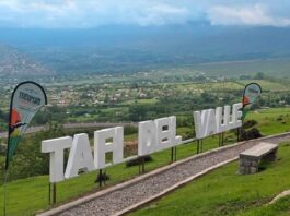 tafi