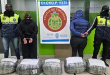 Incautan en Tucumán 48 kilos de marihuana enviados en encomiendas droga