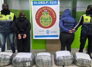 Incautan en Tucumán 48 kilos de marihuana enviados en encomiendas droga