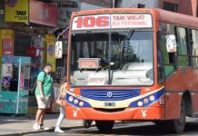 colectivos